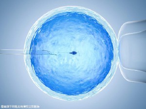 国医馆